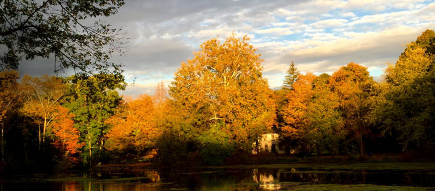 Califon, NJ